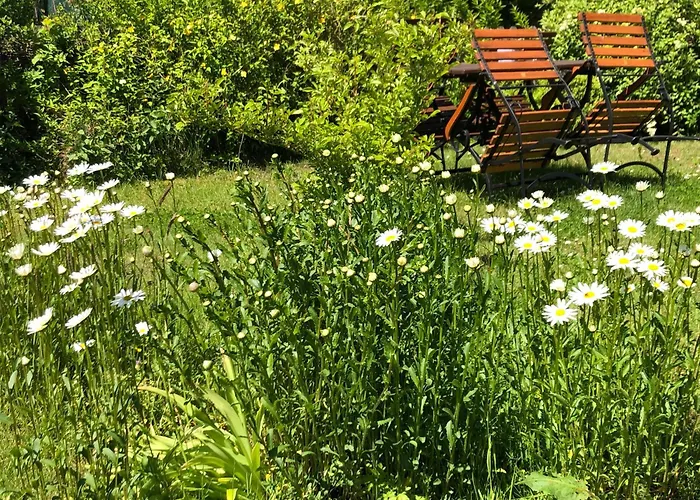 Camping Kouzelna Maringotka Chřibská